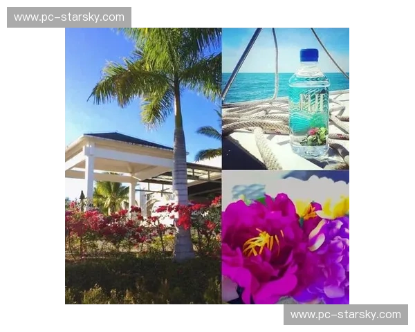 啤酒、香肠与碧海蓝天：德国与斐济，一场跨越山海的奇幻邂逅